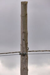 An old phone or electricity pole made of wood