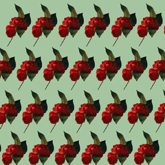Creative pattern made of red roses om mint green background. Original  concept for Valentine's day and Woman's day.