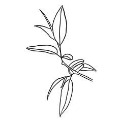 Cute hand drawn floral element. Sketch with tropical twigs with leaves. Vector illustration for natural design, prints on clothing, posters, postcards.