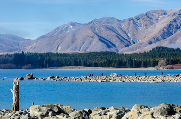 A foggy winter day at the Lake Tekapo on New Zealand‘s South Island, the Southern Alps, in the...