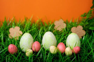 Easter chicken and quail eggs on the meadow grass