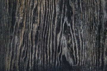 Old wood texture