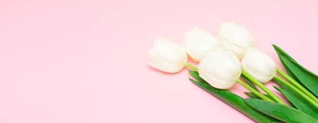 Bouquet of white tulips on a pink banner background. Gift for Valentine's Day, Mother's Day, Women's Day.