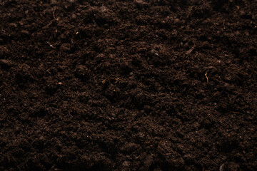 Fototapeta premium Black land for plant background.