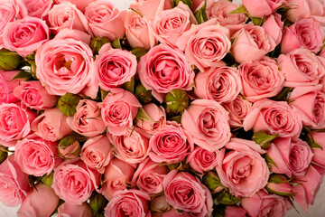 Floral background of pink roses