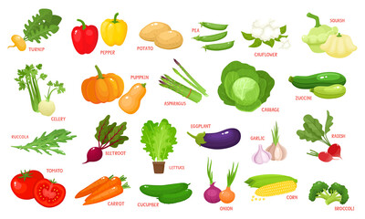 Colorful cartoon vegetables icons isolated on white.