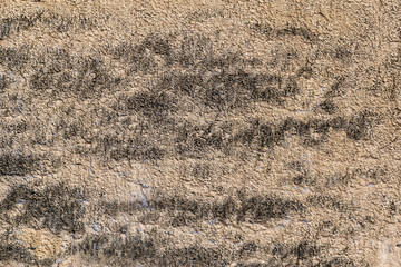 Rough, textured surface with a beige color with black streaks