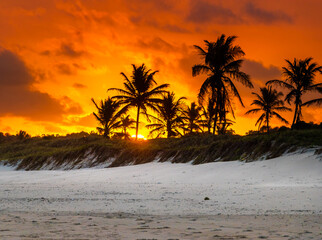 Lindo Pôr do sol na praia do Francês