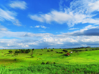 Viagem, landscape, sky, grass, field, nature, meadow, green, summer, blue, cloud, clouds, rural, horizon, hill, agriculture, land, spring, tree, farm, pasture, scene, countryside, outdoors, country, v