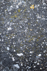 buildings near the port. pier by the mountains.