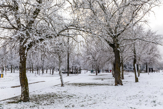 parks of Madrid, covered by snow, due to the storm Philomena of January 2021