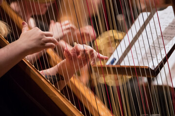 Harp professional player with symphony orchestra performing in concert on background.