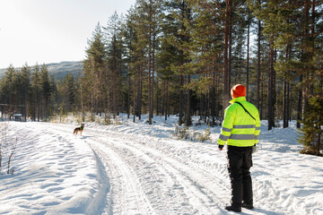 Man with reflective jacket goes for a hike through deep snow with his dog