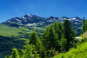 Passo Gavia, mountain pass in Lombardy, Italy, at summer