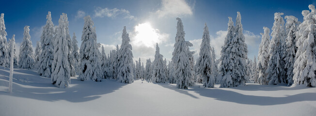 Amazing winter landscape with snow and blue sky. High resolution panorama photo.