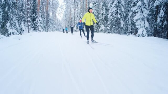 Cross country ski. Group of skiers work out on the skating ski track in the winter forest with snow covered trees