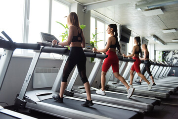 Obraz na płótnie Canvas Two active women doing cardio on treadmill at gym