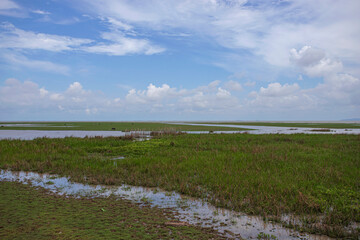 thale noi phatthalung thailand