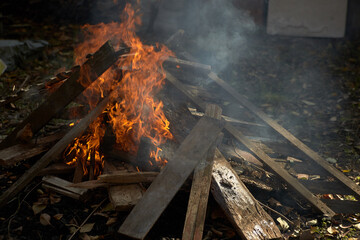 Burning wood in the fire