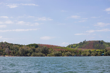 sea ​​and sky in the daytime