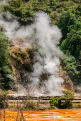Fototapeta na wymiar Sinter terraces and rising steam in Waimangu Volcanic Valley