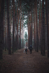 Obraz premium Fotos sesion en el bosque y en la nieve 