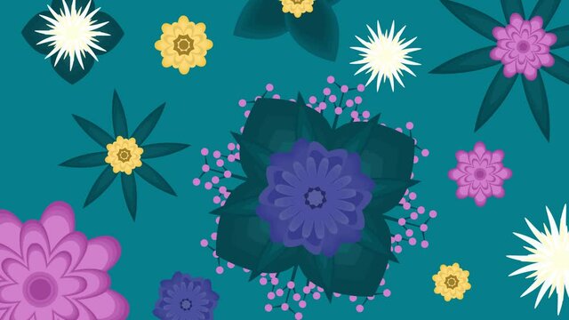 animation of flat flowers on a green background. 4k