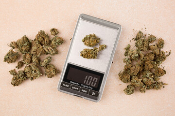 Cannabis buds on digital scale.