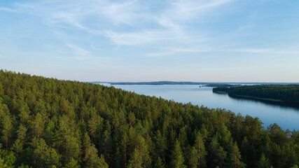 A beautiful mixed forest along the shore of the huge calm lake.  Blue sky. Nature background