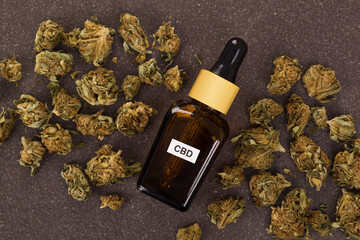 CBD oil and marijuana buds.