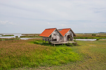 Fototapeta na wymiar Twin house in the middle of the lake, Thale Noi, Phatthalung