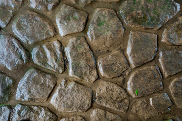 Close-up detail of worn eroded wet moss covered cobblestones