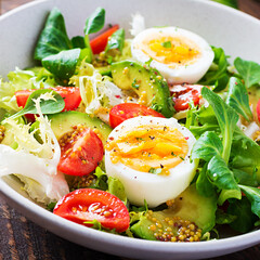 Fresh avocado salad with tomato, avocado, boiled eggs and fresh lettuce. Ketogenic diet breakfast.  Keto, paleo salad.
