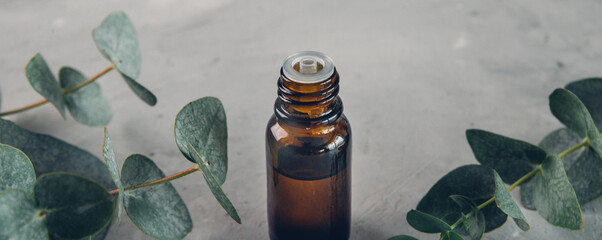 Eucalyptus essential oil and fresh leaves on the stone board. Banner.