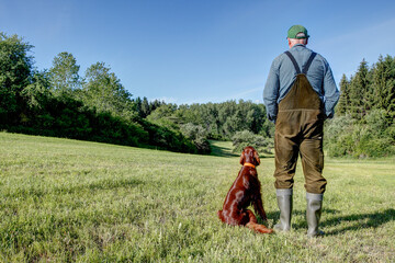 On a sunny day in May, a Farmer stands with his Irish Setter hunting dog on the mowed meadow and...