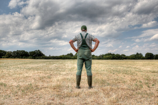 A farmer stands in the middle of his parched meadow, hoping for rain. Rising temperatures, longer periods of heat and too little rain, the arable soil in Germany are dry like never before.