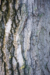 texture as background