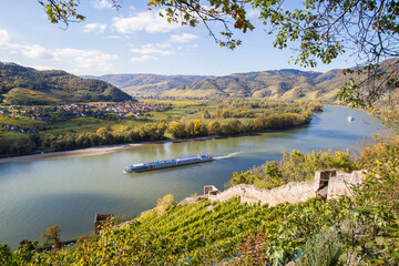 Fototapeta na wymiar Aerial view of the Wachau vinery and Danube river region in Austria