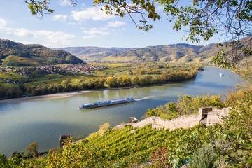 Foto op Plexiglas Aerial view of the Wachau vinery and  Danube river region in Austria © Photofex