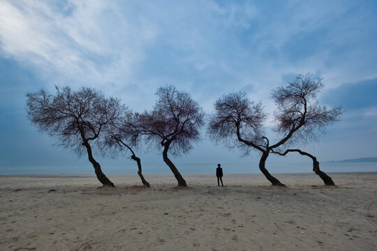 Woman walking isolated among odd shaped trees