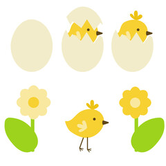 Chicken in shell and without, Easter bird and egg, clipart from flowers and symbolic animals