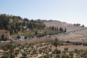 Jerusalem: The Valley of Jehoshaphat