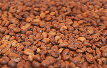 Coffee beans, roasted coffee beans, background