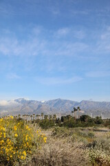 A scenic view of the desert with palm trees in Palm Springs, California 