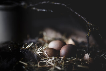 dark brown egg still life with straw and small branch