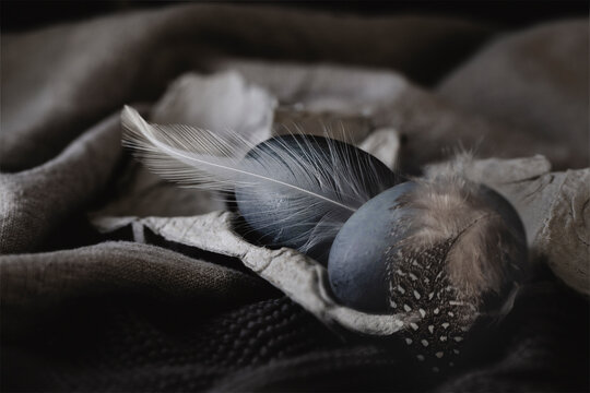 Macro of dark blue eggs still life with feathers on linen