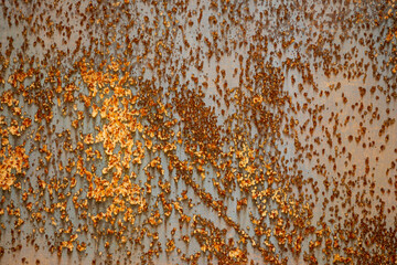 Rusty metal background texture