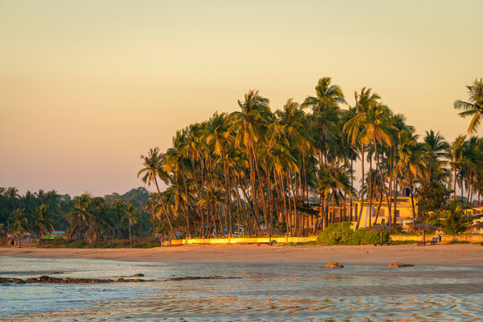 Palm trees at beach against sky during sunset, Chaung Tha Beach, Pathein, Myanmar