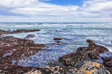 Fototapeta na wymiar Picturesque view of the rocky shoreline of Atlantic Ocean and Platboom Beach. Platboom Bay is a beautiful beach along coastline nestled in Cape of Good Hope Nature reserve. Cape Town, South Africa.