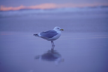 Seaside colors, travel and relax, freedom